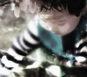 报复骗子轰炸神器